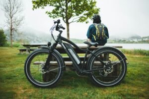 The Future of Transportation: Eco-Friendly Scooter Options